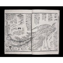 Japanischer Druck "(Ehon) Saishiki Tsu 絵本彩色通" von Katsushika Hokusai, 葛飾北斎 (Katsushika Hokusai (葛飾北斎))