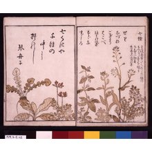 Japanese Print "Yama no sachi 山幸 (Boon of the Mountains)" by Katsuma Ryusui