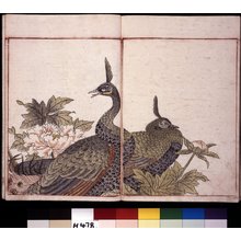 Toriyama Sekien: Sekien gafu 石燕画譜 (Sekien's Picture-album) - British Museum