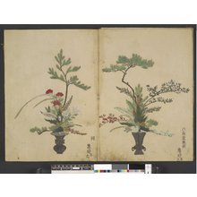 Japanese Print "Rikka zu 立華図 (Pictures of Upright Flower Arrangements)" by Unknown, 無款 (null)