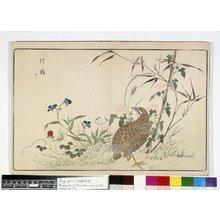 Estampe japonaise "Raikin zui 来禽図彙 (Pictures of Imported Birds) / Ehon kacho kagami (Picture-book Mirror of Birds and Flowers)" par Guan Yingwen