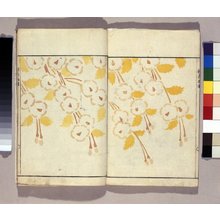 Kitao Sekkosai: Saishiki gasen 彩色画選 (A Selection of Coloured Drawings) - British Museum