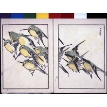 佐藤水石: Suiseki gafu, Nihen 水石画譜二編 (Suiseki's Picture-album, Second Series) - 大英博物館
