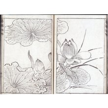 Hondaya Iseemon Kyuhanによる浮世絵「Eibutsu Shiga 詠物史画」