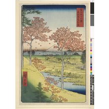 Utagawa Hiroshige: Toto Meguro yuhi-no-oka / Fuji Sanju Rokkei - British Museum