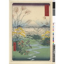 歌川広重: Kai Otsuki-no-hara / Fuji Sanju Rokkei - 大英博物館