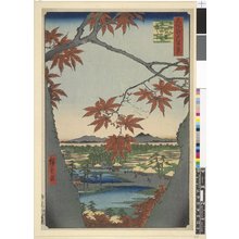 Utagawa Hiroshige: No 94, Mama no momoji Tekona no yashiro Tsugihashi / Meisho Edo Hyakkei - British Museum
