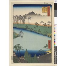 Utagawa Hiroshige: No 64 Tsunohazu Kumano Junisha zokusho Juniso / Meisho Edo Hyakkei - British Museum