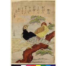 Isoda Koryusai: Raicho - British Museum