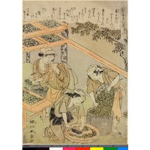 勝川春章: Dai-san / Kaiko Yashinai-gusa - 大英博物館