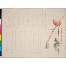 山形素真: surimono - 大英博物館