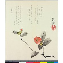 Tanaka Nangai: surimono - 大英博物館