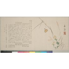 Japanese Print "surimono" by Shintaku