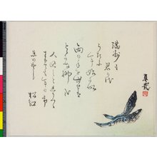 Shibata Shinsai: surimono - British Museum