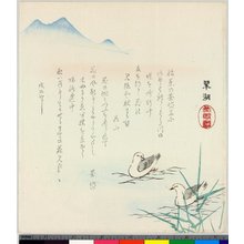 Komatsubara Suiko: surimono - British Museum