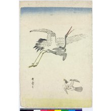 Japanischer Druck von Kitagawa Utamaro, 喜多川歌麿 (Kitagawa Utamaro (喜多川歌麿))