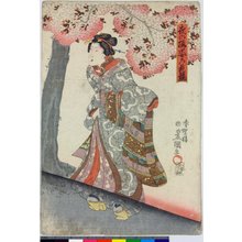 Japanese Print "Yoru no sakura sugata no hana=kurabe" by Kawaguchiya Uhei, 川口屋卯兵衛 (Kawaguchiya Uhei (川口屋卯兵衛))