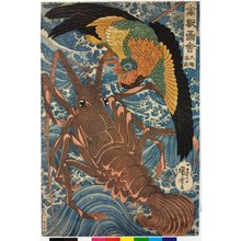 Utagawa Kuniyoshi: Taiho, ebi 大鵬海老 (Phoenix and lobster) / Kinju zue 禽獸図会 (Birds and Beasts) - British Museum