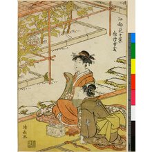 Torii Kiyonaga: Botan-yashiki / Koto Hana Ju-kei - British Museum