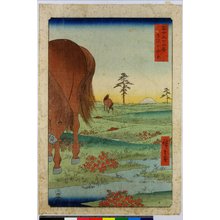 Utagawa Hiroshige: Shimosa Koganehara / Fuji sanjurokkei - British Museum