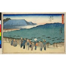 Utagawa Hiroshige: Anryumachi Naniwaya no matsu / Naniwa meisho zue - British Museum