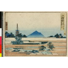 Katsushika Hokusai: Chiriu Narumi ichi-ri sanju-cho Yabase Chiriu Myojin - British Museum