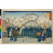 歌川広重: Kameido ume okka / Edo Meisho - 大英博物館