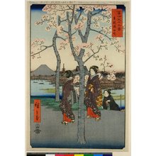 歌川広重: Toto Sumida-tei 東都隅田堤 (Embankment of the Sumida River, Edo) / Fuji sanju-rokkei 冨士三十六景 (Thirty-Six Views of Fuji) - 大英博物館