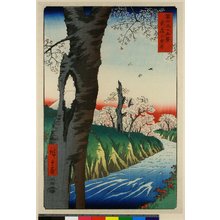 Utagawa Hiroshige: Musashi Koganei / Fuji Sanju Rokkei - British Museum