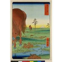 Utagawa Hiroshige: Shimosa Kogane-ga-hara / Fuji Sanju Rokkei - British Museum