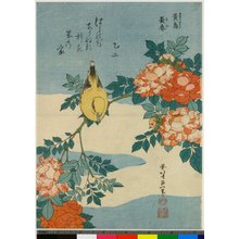 Katsushika Hokusai: Ocho bara - British Museum