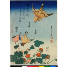 葛飾北斎: Mozu ruri hebi-ichiko yuki-no-shita - 大英博物館
