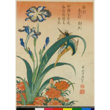 Katsushika Hokusai: Kawasemi shogu nadeshiko - British Museum