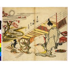 Estampe japonaise "Someiro no yama neya no hinagata 染色のやま閨の雛形 (Mountains of Dyed Colours, Examples for the Bedroom)" par Okumura Masanobu, 奥村政信 (Okumura Masanobu (奥村政信))