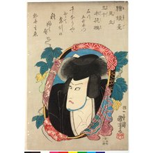 Utagawa Kuniyoshi, 歌川国芳 (Utagawa Kuniyoshi (歌川国芳))创作的日本版画《E-kyodai mitate sanju bokuka sen 繪鏡臺見立三十木花撰 (Sibling Pictures: Parody of Thirty Selected Trees and Flowers)》