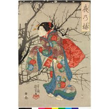 歌川国芳: Yoru no ume 夜の梅 (Plum Tree at Night) - 大英博物館