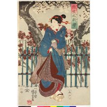 Utagawa Kuniyoshi: Yayoi no yo-zakura 弥生之夜桜 (Cherry Blossoms by Night in the Third Month) - British Museum