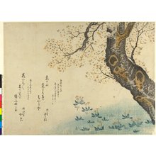 無款: surimono / diptych print - 大英博物館