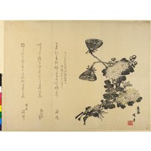 Meigetsu: surimono - British Museum