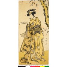 Katsukawa Shunsho, 勝川春章 (Katsukawa Shunsho (勝川春章))による浮世絵「diptych print」