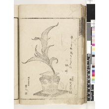 Japanese Print "Sashi-ire Hana no Futami 挿入花の二見" by Katsushika Hokusai, 葛飾北斎 (Katsushika Hokusai (葛飾北斎))