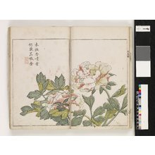 Japanese Print "Kaishien gaden 芥子園画伝 (The Mustard Seed Garden Painting Manual)" by Kawanami Shiroemon