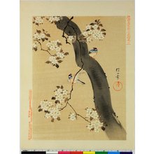 Fukui Gessai: Kinsei meika shubi gafu - 大英博物館