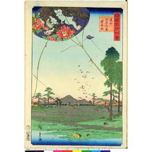 Utagawa Hiroshige II: Enshu Akiba enkei Fukuroi tako 遠州秋葉遠景袋井凧 / Shokoku meisho hyakkei 諸国名所百景 - British Museum
