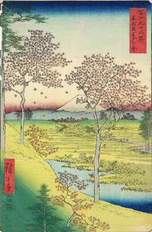 歌川広重: Yuhiga Hill at Meguro in the Eastern Capital, no. 10 from the series Thirty-six Views of Mt. Fuji - ウィスコンシン大学マディソン校