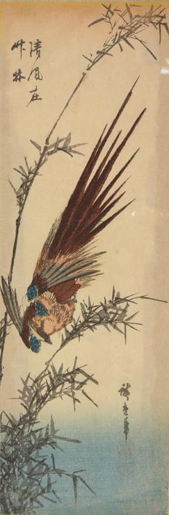 Utagawa Hiroshige: Copper Pheasant Flying Through Bamboo - University of Wisconsin-Madison