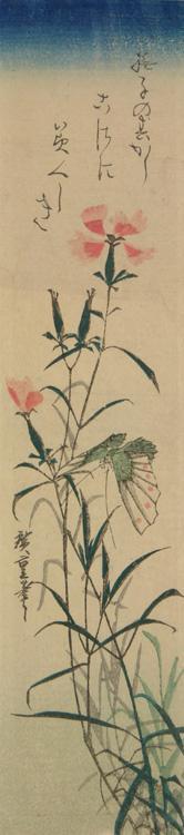 Utagawa Hiroshige: Butterfly and Pinks - University of Wisconsin-Madison