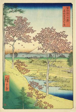 歌川広重: Yuhiga Hill at Meguro in the Eastern Capital, no. 10 from the series Thirty-six Views of Mt. Fuji - ウィスコンシン大学マディソン校