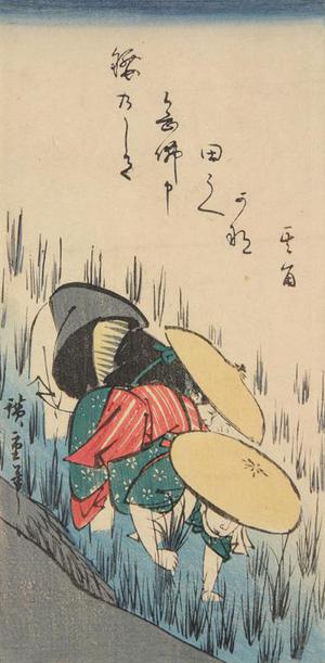 Utagawa Hiroshige: Women Planting Rice, from a series of Figure Sketches - University of Wisconsin-Madison