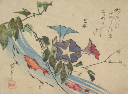 Utagawa Hiroshige: Morning Glory, Goldfish and Minnows - University of Wisconsin-Madison